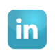 lin icon